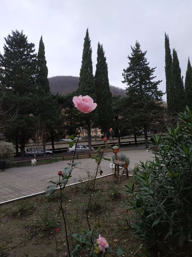 Гостевой дом Магнолия Туапсе-95